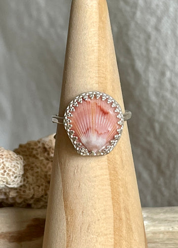 No.6 Seashell Capri Ring Size 6