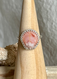 No.6 Seashell Capri Ring Size 6