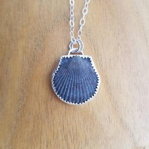 Black Seashell Necklace