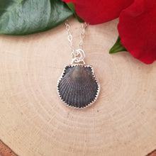 Load image into Gallery viewer, Black Seashell Necklace