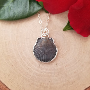 Black Seashell Necklace