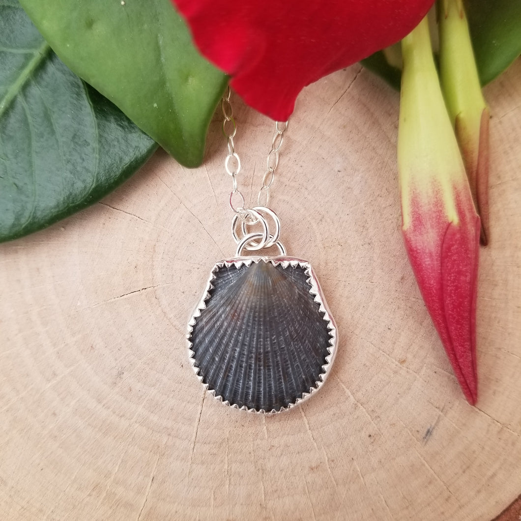 Black Seashell Necklace