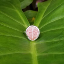 Load image into Gallery viewer, No.2 Sea Shell Capri Ring Size 5