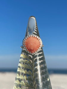 No.1 Sea Shell Capri Ring Size 5
